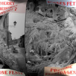 Boule de Noël :cliquez sur la vignette pour obtenir l’agrandissement maximal.