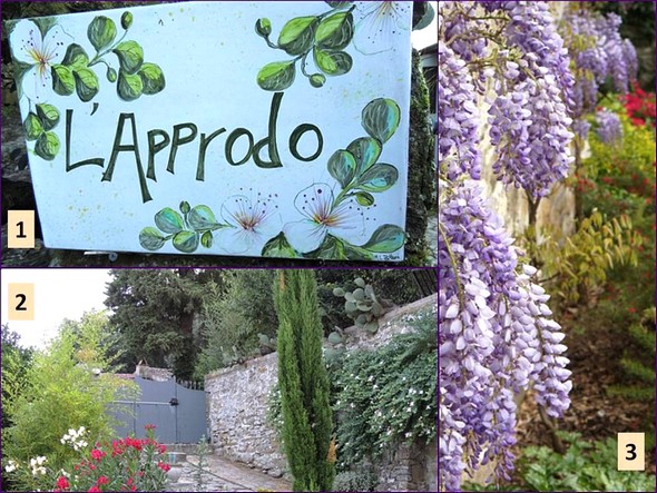 1 - Nom de la propriété : "Le point d'abordage".2 - L'ETE : août 2013.3 - RINTEMPS : notre glycine, avril 2014.