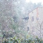 Cliquez sur la vignette pour obtenir l’agrandissement maximal.