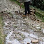 Cliquez sur la vignette pour obtenir l’agrandissement maximal.