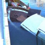 Clicca su questa vignetta per ingrandire.