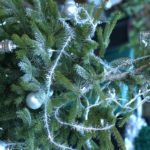 Clicca su questa vignetta per ingrandire.