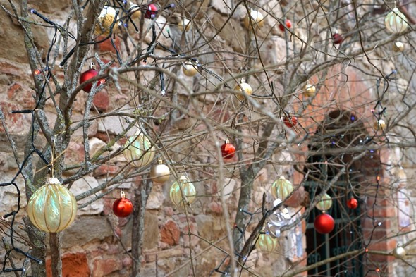 Da Maria Laetizia Bittoni.