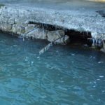 Cliquez sur la vignette pour obtenir l’agrandissement maximal.