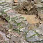 Cliquez sur la vignette pour obtenir l’agrandissement maximal.