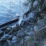 Cliquez sur la vignette pour obtenir l’agrandissement maximal.