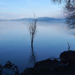 Cliquez sur la vignette pour obtenir l’agrandissement maximal.