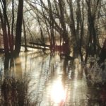 Cliquez sur la vignette pour obtenir l’agrandissement maximal.