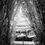 Cliquez sur la vignette pour obtenir l’agrandissement maximal.