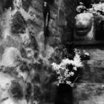 Cliquez sur la vignette pour obtenir l’agrandissement maximal.