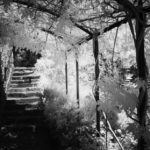 Cliquez sur la vignette pour obtenir l’agrandissement maximal.