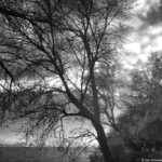 Cliquez sur la vignette pour obtenir l’agrandissement maximal.