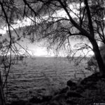 Cliquez sur la vignette pour obtenir l’agrandissement maximal.