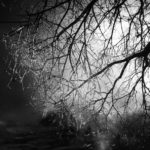 Cliquez sur la vignette pour obtenir l’agrandissement maximal.