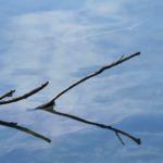 Cliquez sur la vignette pour obtenir l’agrandissement maximal.