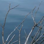 Cliquez sur la vignette pour obtenir l’agrandissement maximal.