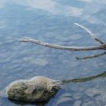 Cliquez sur la vignette pour obtenir l’agrandissement maximal.