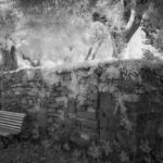 Cliquez sur la vignette pour obtenir l’agrandissement maximal.