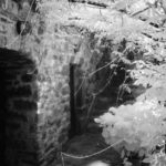 Cliquez sur la vignette pour obtenir l’agrandissement maximal.