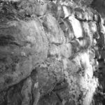 Cliquez sur la vignette pour obtenir l’agrandissement maximal.