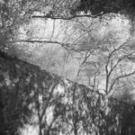 Cliquez sur la vignette pour obtenir l’agrandissement maximal.