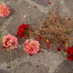 Cliquez sur la vignette pour obtenir l’agrandissement maximal.