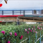 Clicca su questa vignetta per ingrandire.