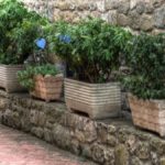 Clicca su questa vignetta per ingrandire.