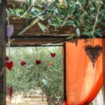 Clicca su questa vignetta per ingrandire.