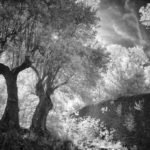 Clicca su questa vignetta per ingrandire.