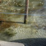 Clicca su questa vignetta per ingrandire.