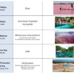 Cliquez sur la vignette pour obtenir l’agrandissement maximal.