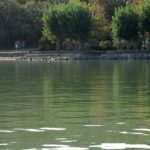 Cliquez sur la vignette pour obtenir l’agrandissement maximal.