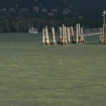 Cliquez sur la vignette pour obtenir l’agrandissement maximal.