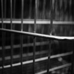 Cliquez sur la vignette pour obtenir l’agrandissement maximal.