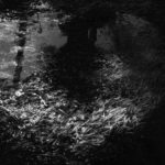 Cliquez sur la vignette pour obtenir l’agrandissement maximal.