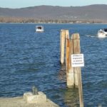 Clicca su questa miniatura per ingrandire al massimo.