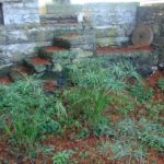 Cliquez sur la vignette pour obtenir l’agrandissement maximal.