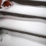 Cliquez sur la vignette pour obtenir l’agrandissement maximal.