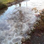 Cliquez sur la vignette pour obtenir l’agrandissement maximal.