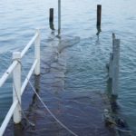 Cliquez sur la vignette pour obtenir l’agrandissement maximal.