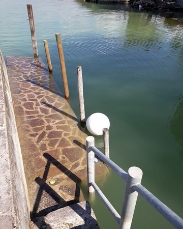 Idem.Photo prise depuis le decond niveau de notre quai.28 mars 2018.