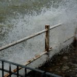 Cliquez sur la vignette pour obtenir l’agrandissement maximal.