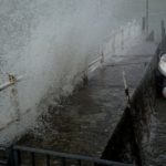 Cliquez sur la vignette pour obtenir l’agrandissement maximal.