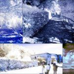 Cliquez sur la vignette pour obtenir l’agrandissement maximal.